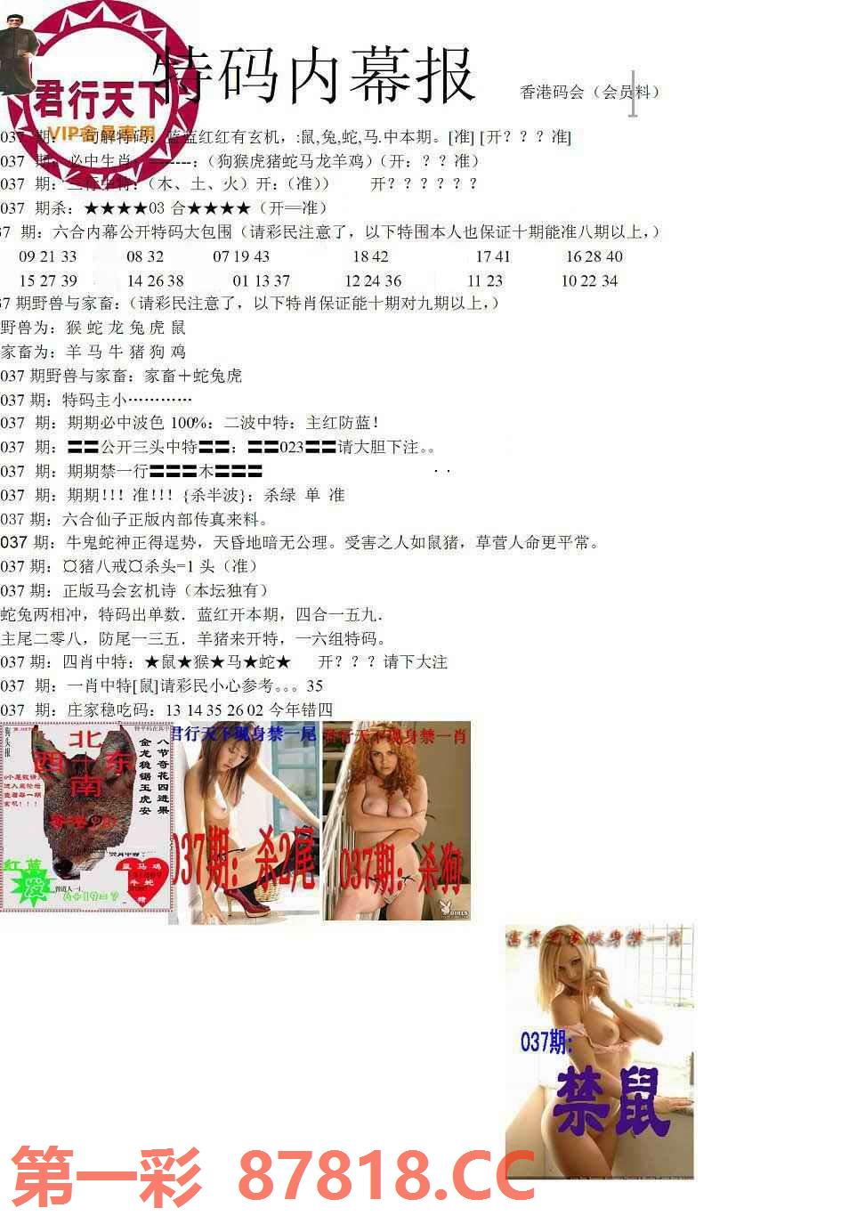 图片载入中...